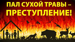 Пал сухой травы